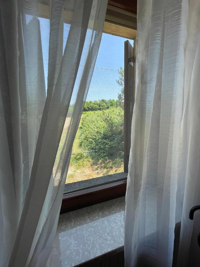 カヴァルカゼッレCasa Loredana - Graziosa Casa Vacanze Sul Lago Di Gardaアパートメント エクステリア 写真